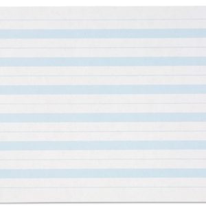 Papier ligné bleu 11,8 x 20,3 cm (500)